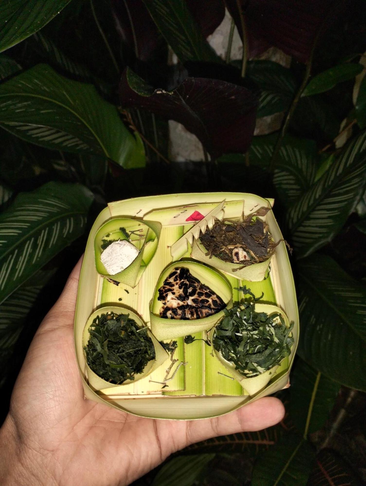 Homestay Ananda Singaraja (Bali)